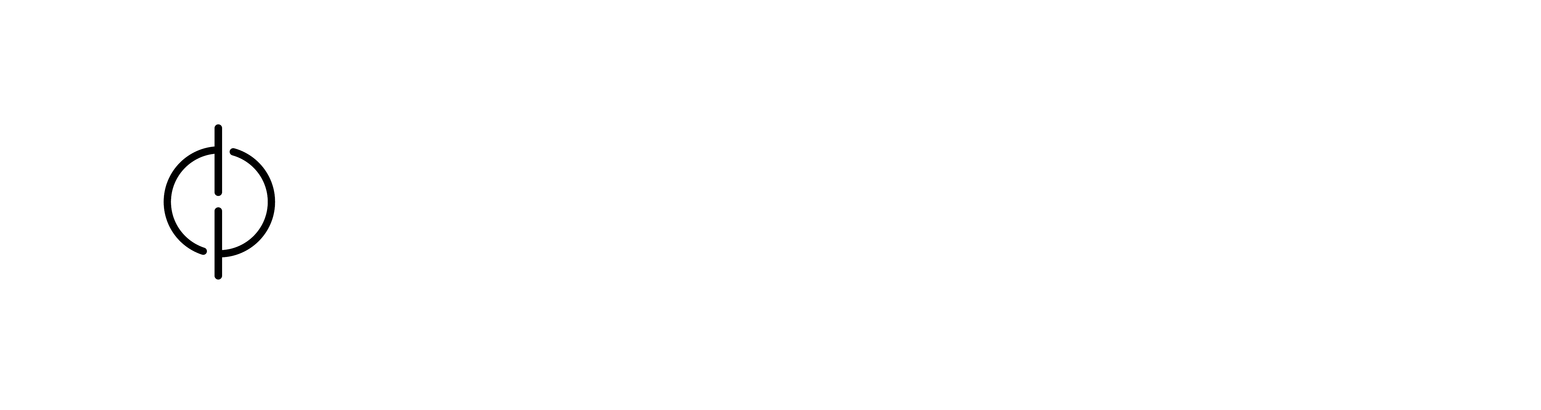 DataPrep Logo 4